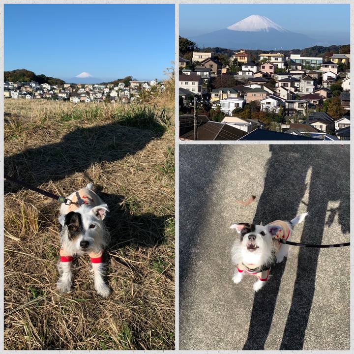 968b616a e113 42ef aefa a2d890fcfb3b 1669508419929