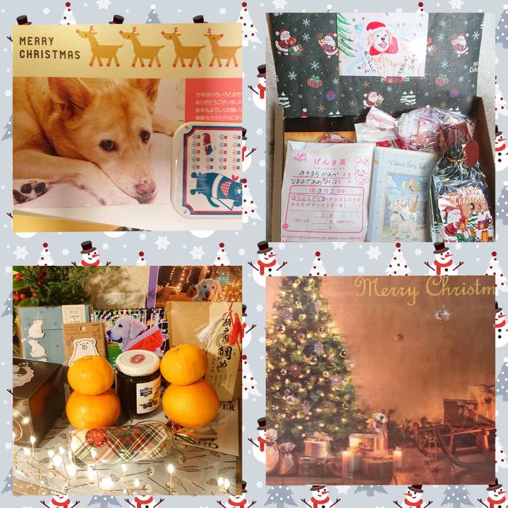 968b7d4a 2baa 4da6 9305 687e3b8d9b0b 1640259838388