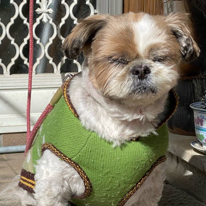 968b975d 2360 4cb7 b51b e5c4b29c64b2 1644032750706