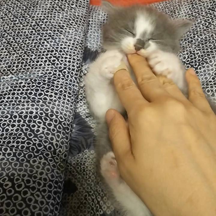 968ba07c bec8 49d7 a4e7 f69b376fb081 1558436593927