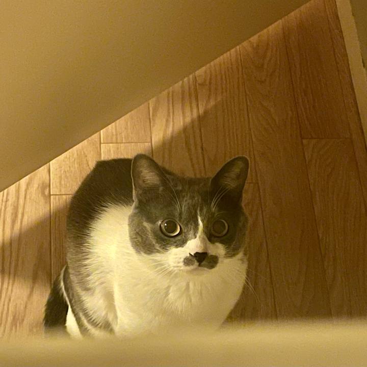 968bb511 130f 41ca bf82 e8d07f820183 1638707146624