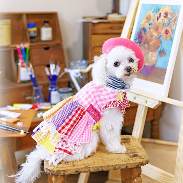 968bb5c6 7c35 433b 8d75 5acb75eec9f7 1682986258558