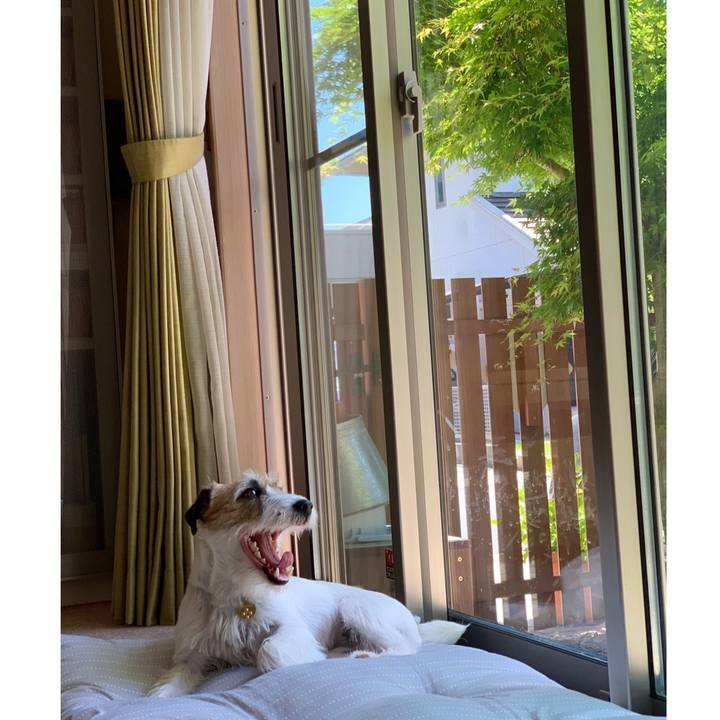 968bd49a 502f 4227 a885 f3c8f7836933 1589425058550