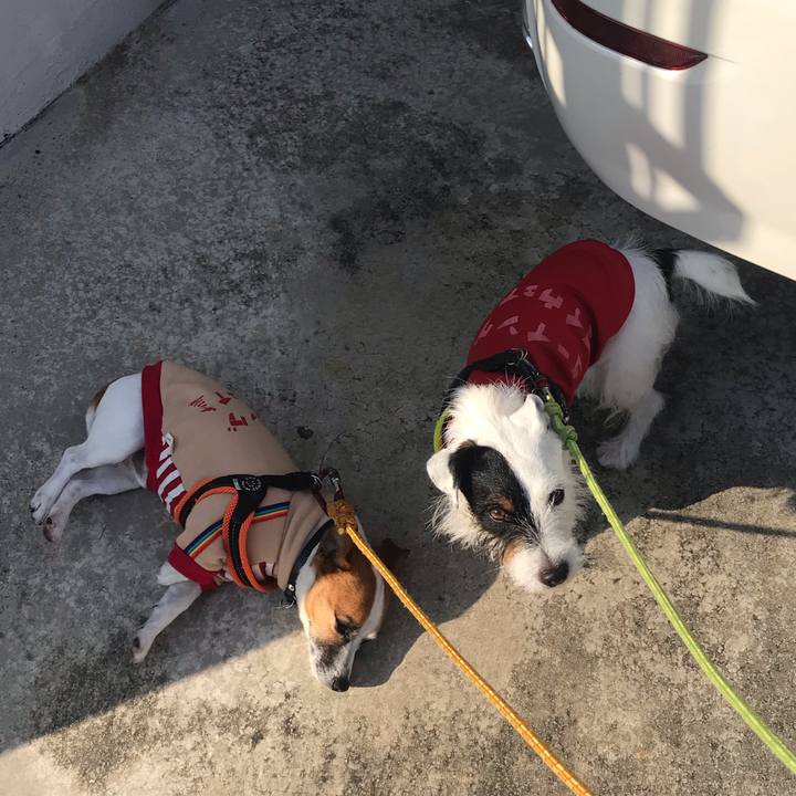 968bda6c 6acc 4b39 a279 b8790ff8914a 1543451599498