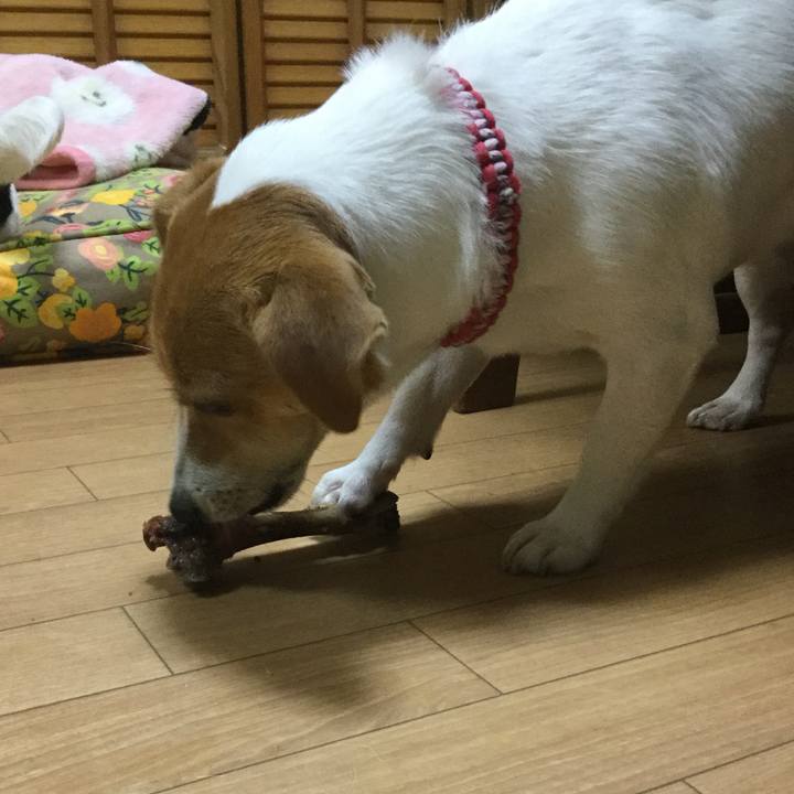 968bf98c 68bc 4ba7 b790 a8210ef6b574 1560238945721