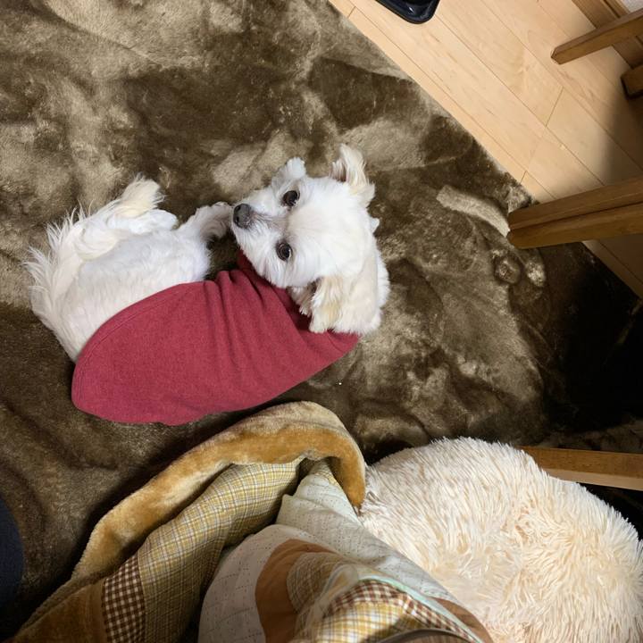 968c0218 aff0 4636 a8cc a7266f359e78 1645098488348