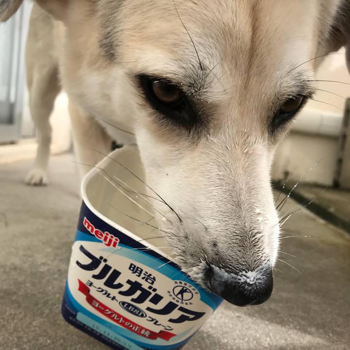 968c096c 55cc 4546 86af 4b2faabed278 1542503703761