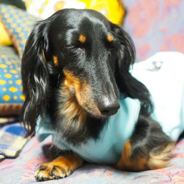 968c4cbc 45e5 4b90 9781 b8c7bfef2eb4 1509151177381