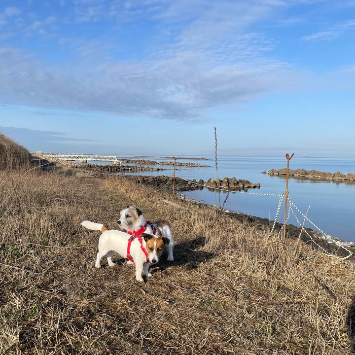 968c4dd7 4835 4615 9721 c26580359bbd 1679440321613