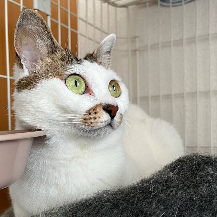 968c64eb 180d 48ff bfa5 172702c61de5 1652254575202