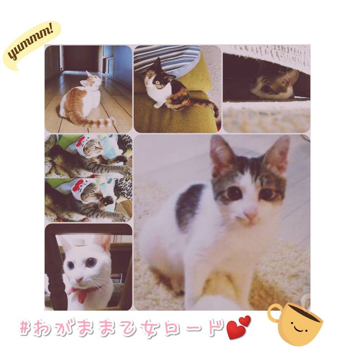 968c8631 3ed7 4a04 8b6a 73dc5273df0e 1568710575626