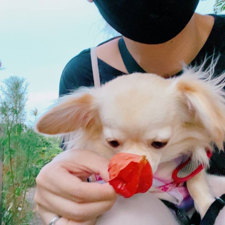 968c99ec 44d0 4515 8692 023ff9ff5a6f 1627296020491