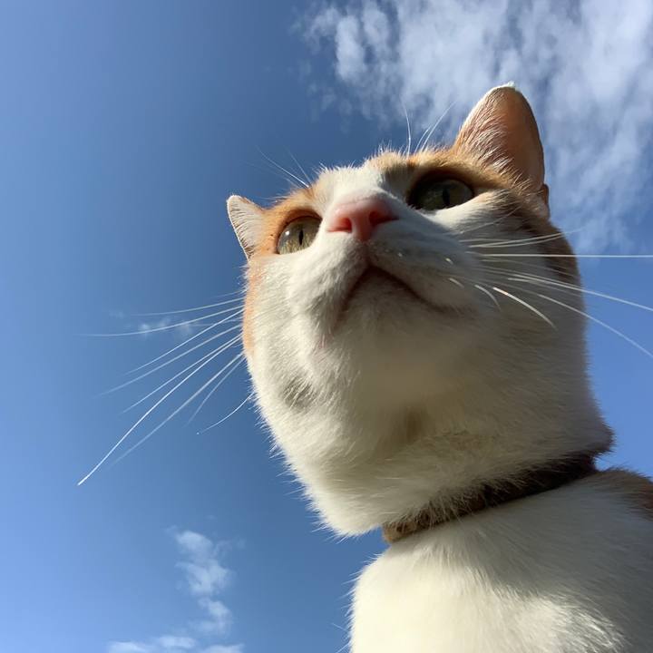 968caddc 215a 42e6 abcd 3c76fae85feb 1618701481326