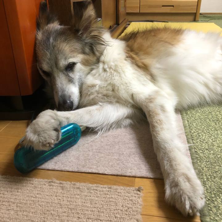 968cdb56 ab81 4d0d a286 70d4e6f0d706 1543313052598