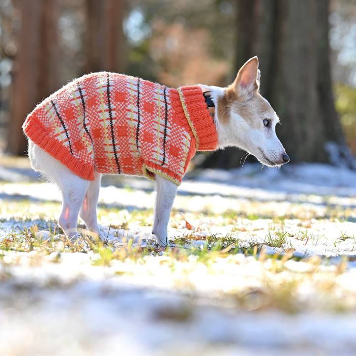 968cf190 fa66 40ae 9b14 8d9c05b33c63 1767441695026