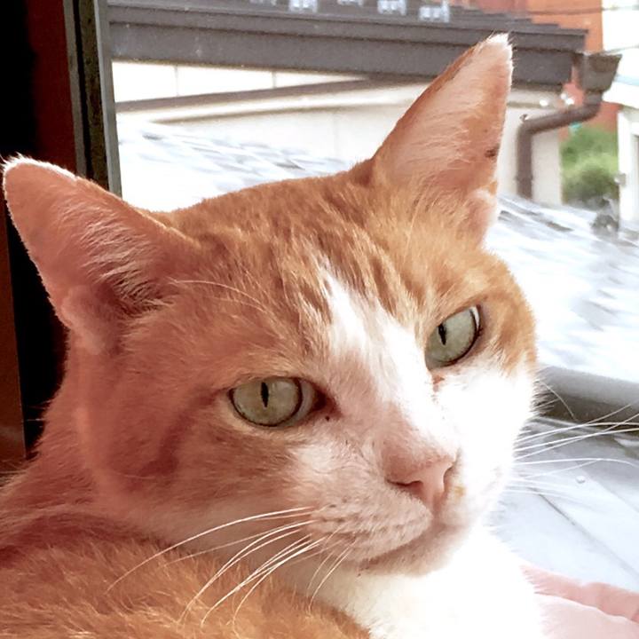 968cfc9e e271 4835 915a 717a2b86e791 1567219650434