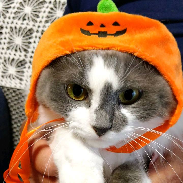 968d37d2 ca0c 41d6 b47f b8f149c62eda 1600588635605