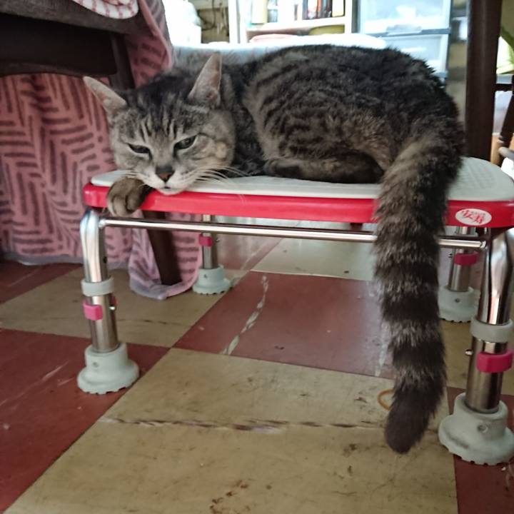 968d8eac 6e60 4f12 9f6f d989e86221fc 1589147280116