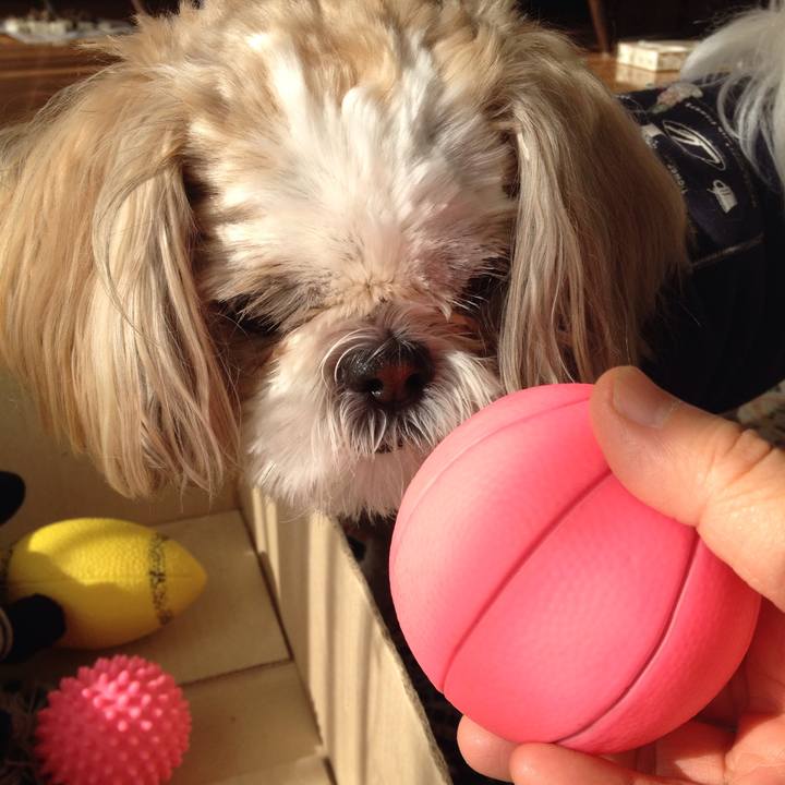 968d8f71 e4ff 4318 942b 4249edd909eb 1512423743686