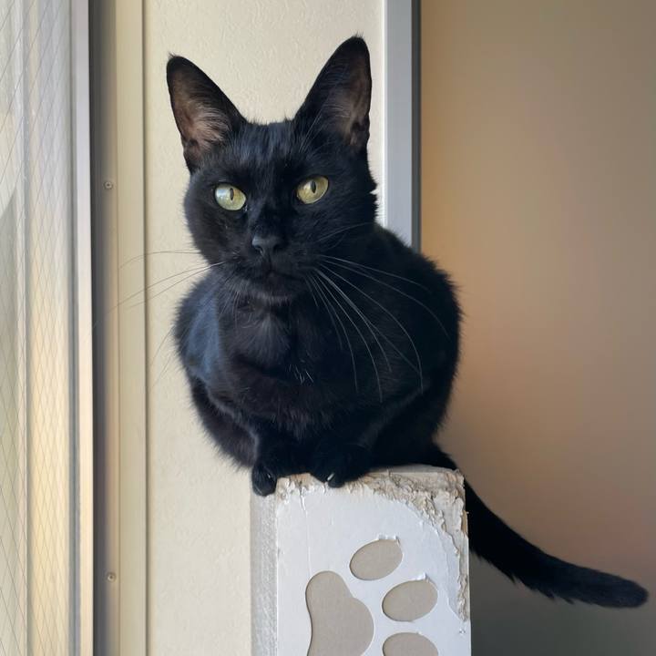 968dad75 15bd 4a12 b1d7 01d2f824a3ad 1762127023765