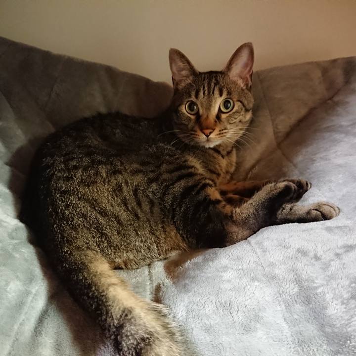 968db307 e336 4db6 b9e3 50912b16c9c4 1523275929279