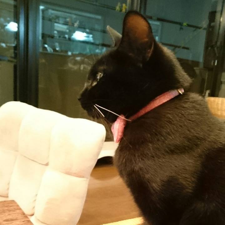 968db3fd af6e 4b3d a87f 952889cc344a 1518271947573