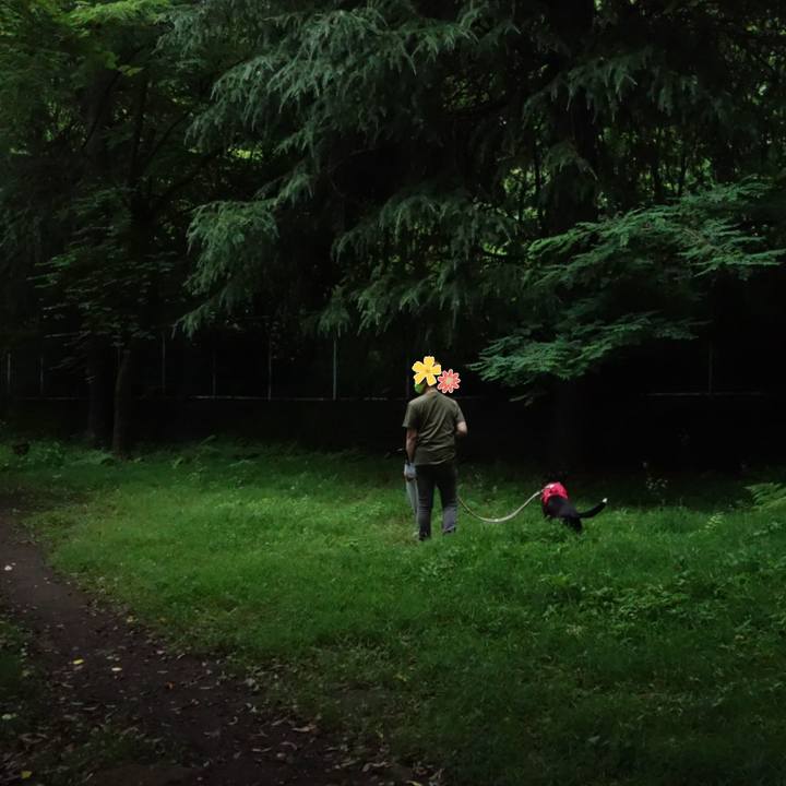 968dba08 b866 49a2 aa89 c48bfb42af45 1655550682559