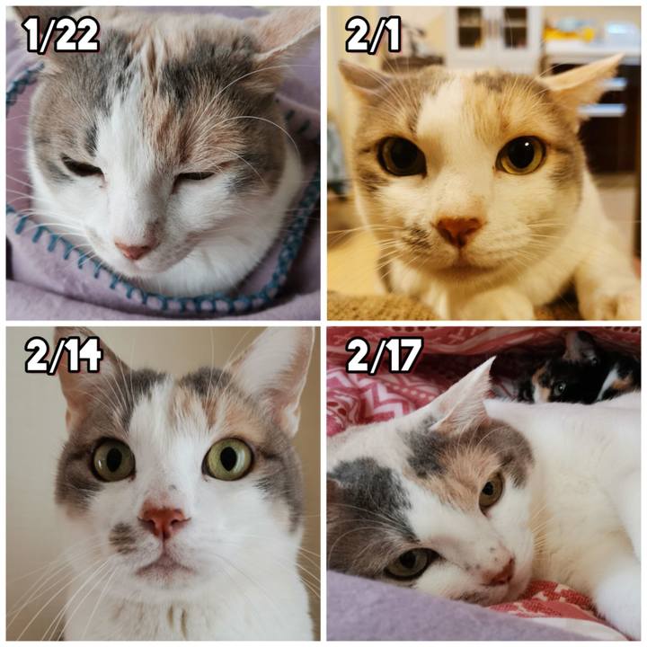 968dc70d 6192 4048 8b2f 6c1fa7a6bd1a 1676954641023