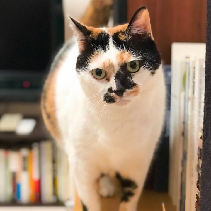 968de505 ef5d 4078 b45f 77d6f597afa9 1517019312440