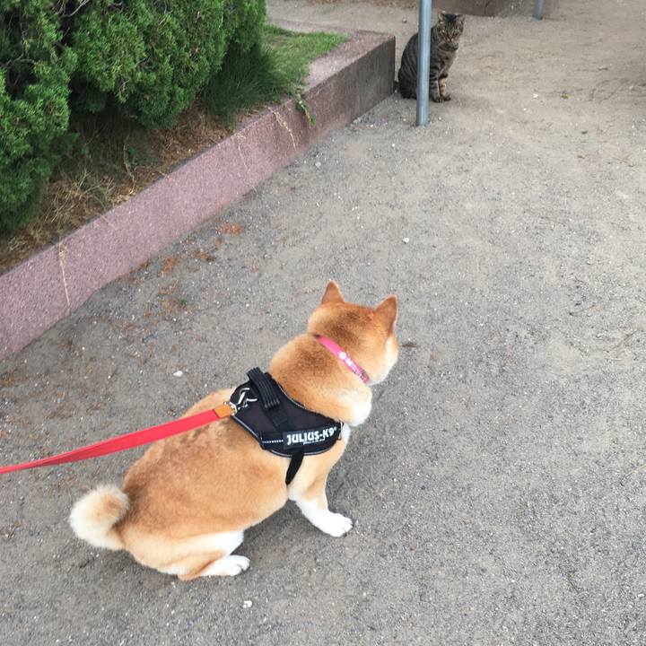 968e03aa 0e56 4047 97a3 2b9b3b321bdf 1613308079027