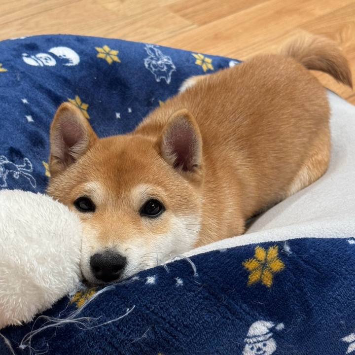 968e30c9 33c0 4ea3 95ca ac56dc3c3885 1770387278134