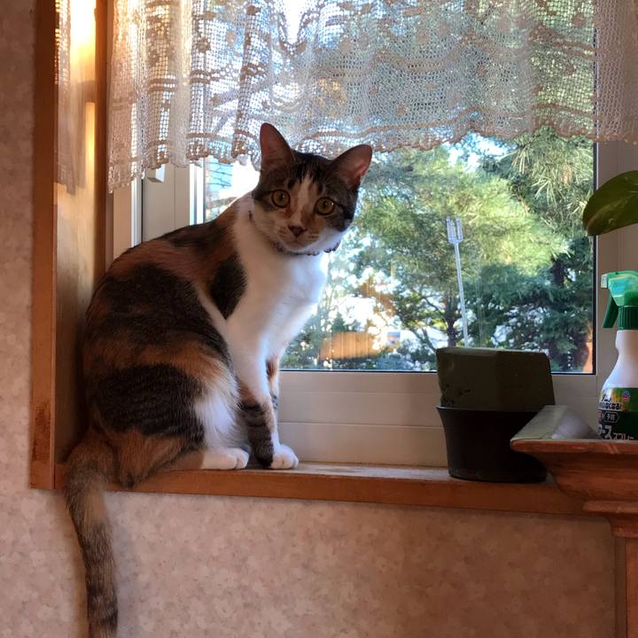 968e4905 7c96 48c1 86c0 224564aa0ace 1636582760335