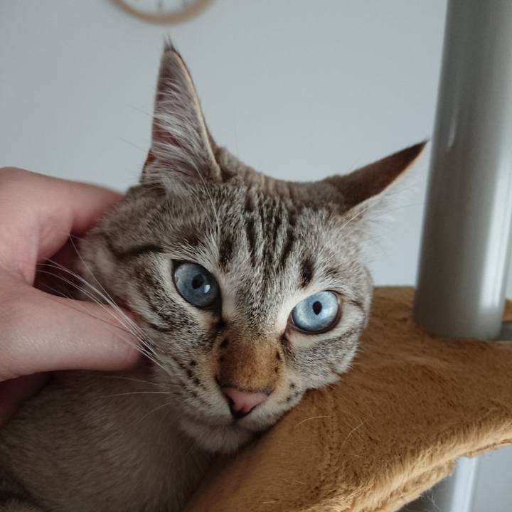 968e745e 4016 4b75 8909 cafdc430a220 1526782632970