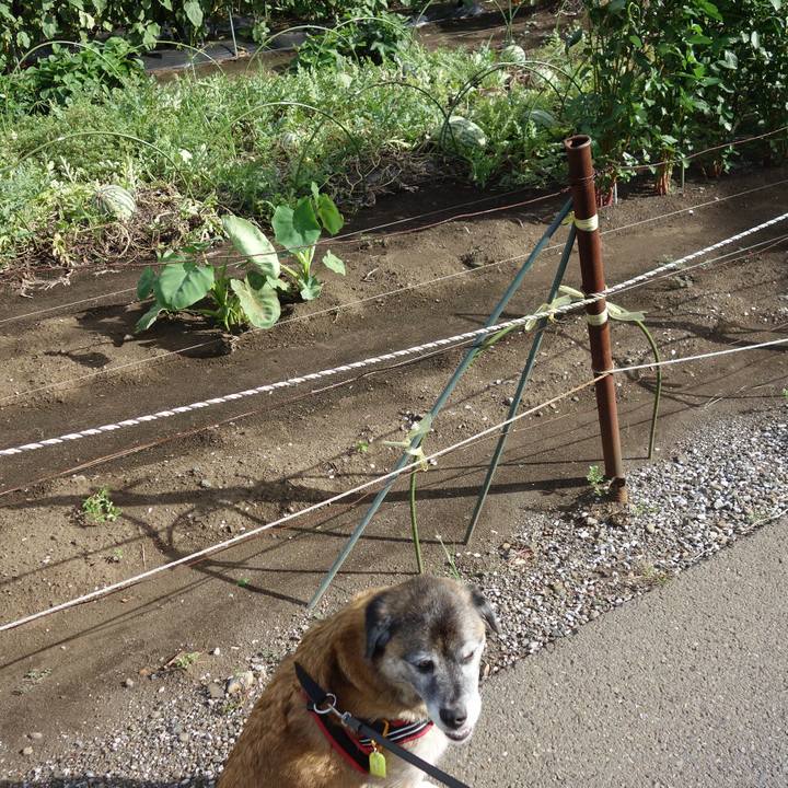 968e8dd8 d40d 4a90 9d0e 6f201af55b7d 1534466149041