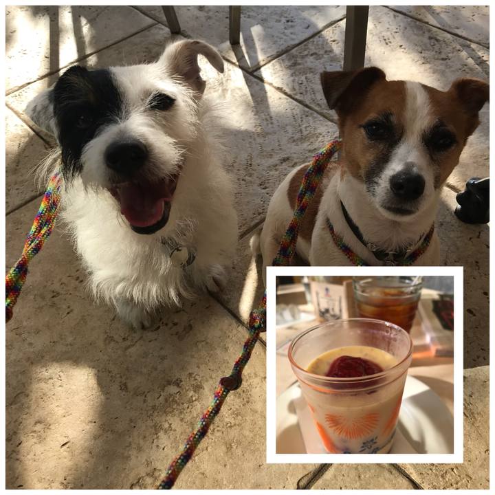 968ecc8a dd05 4d8f b86d 08ef5d28a7f5 1535271914127