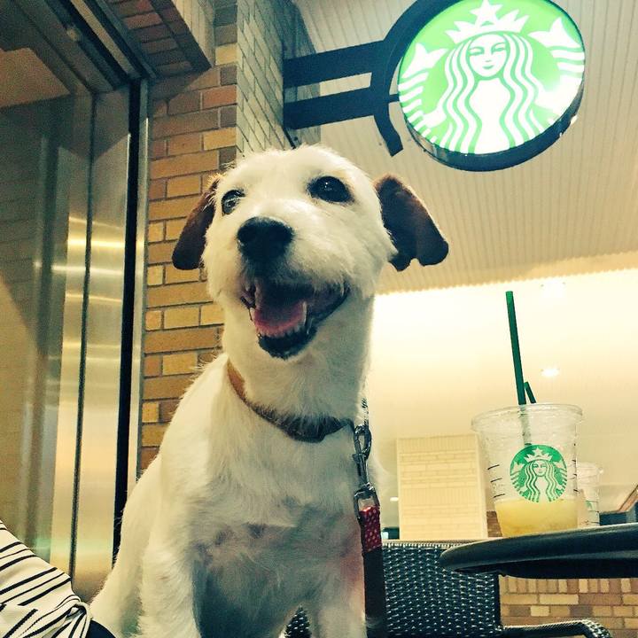 968ee02a f78a 4961 a40c 9e6b5ec5529e 1532265654671