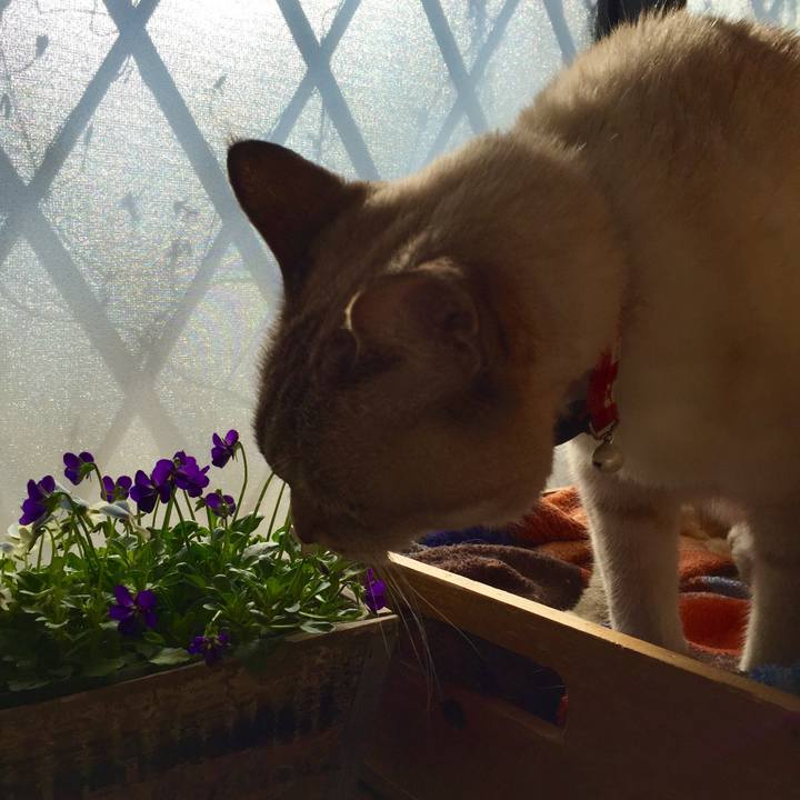 968ee27d 095e 4e7c afa3 a2578462b424 1548563119847