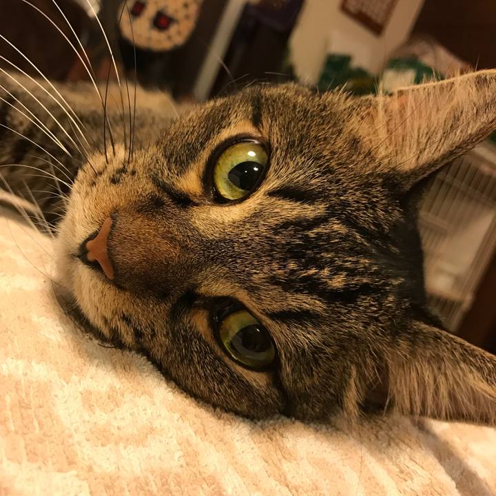 968ef132 9832 4f92 9de9 c311ba41de96 1538793732021