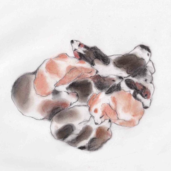 968f24d3 2527 4938 a5d1 e96a1fd03ccc 1613663215067