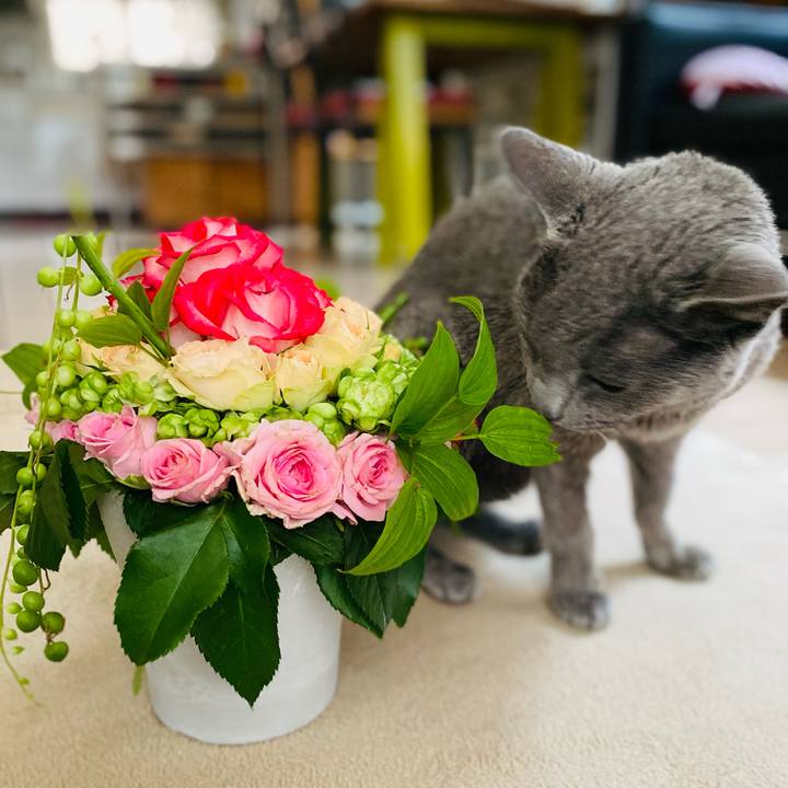 968f763c f268 441c 8852 b84d85d09c88 1621775698743