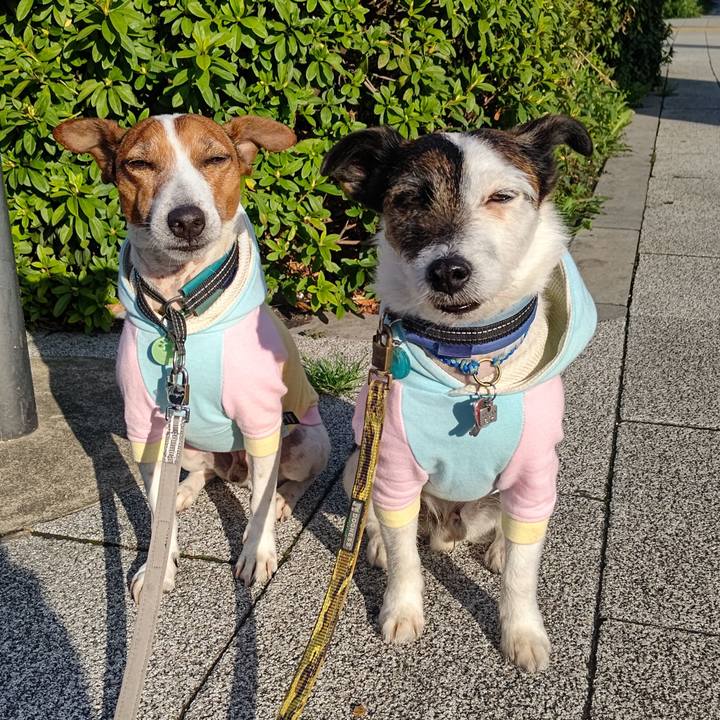 968f80e1 684a 4a8d b10a 34bf077b876d 1712010528563