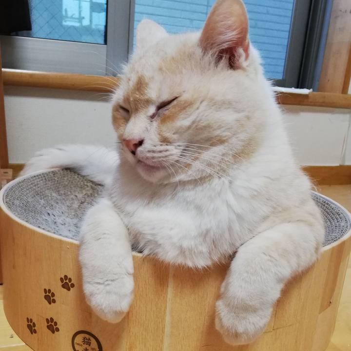 968f901e 6532 4cfa a7ee 4eae3ab50e2f 1719107797220