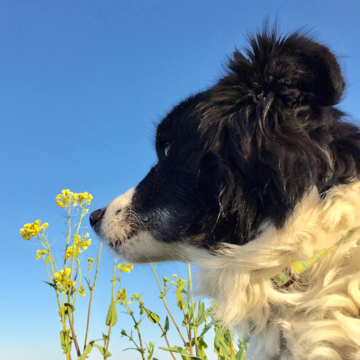 968fa7ec 6c2e 4d12 a513 fbf76b88c9ff 1582239520752