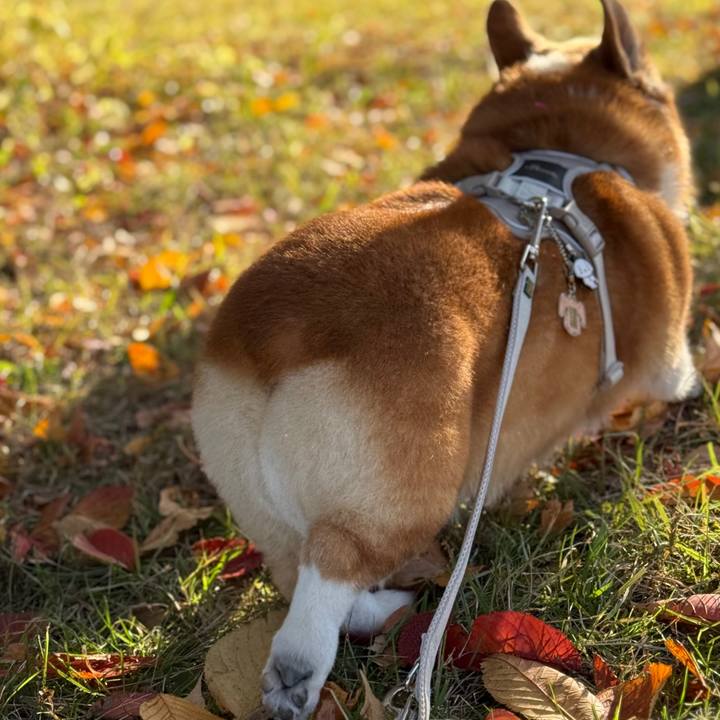 968fb280 8994 4655 b55f 6e963b38796f 1763971135795