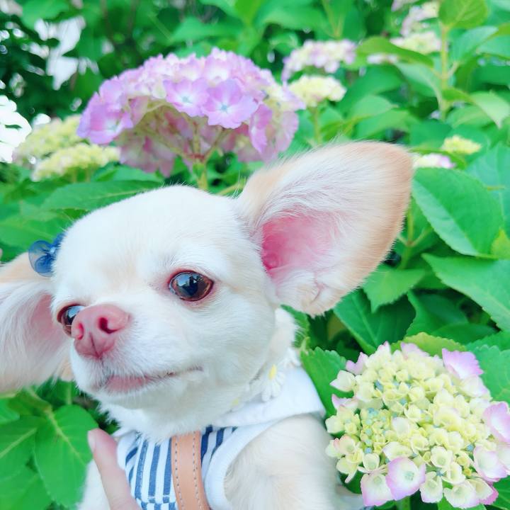 968feef3 b564 4285 91a0 86625dc5c82f 1685085705746