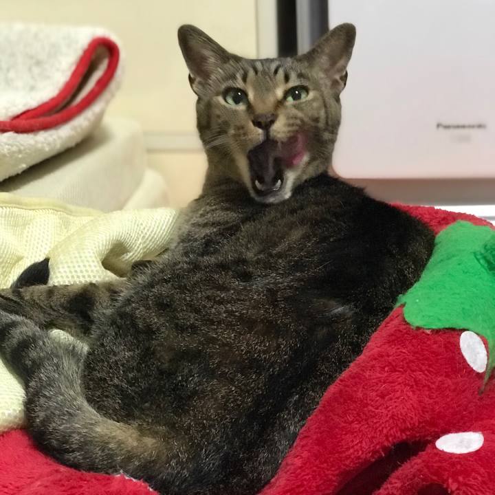 968ff079 fc87 43bb 9515 5ed8134b6a25 1531359401462