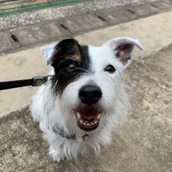 9690c48f 2357 472a 850b e1598fcf8b68 1696735320397