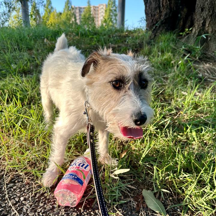 96910ac4 8223 4ab8 877f a586d966eb83 1723165054481