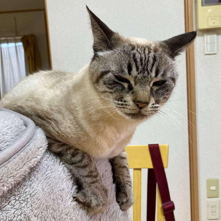 9691304a 2866 429f a7a1 a1f84e341fa0 1772856880525