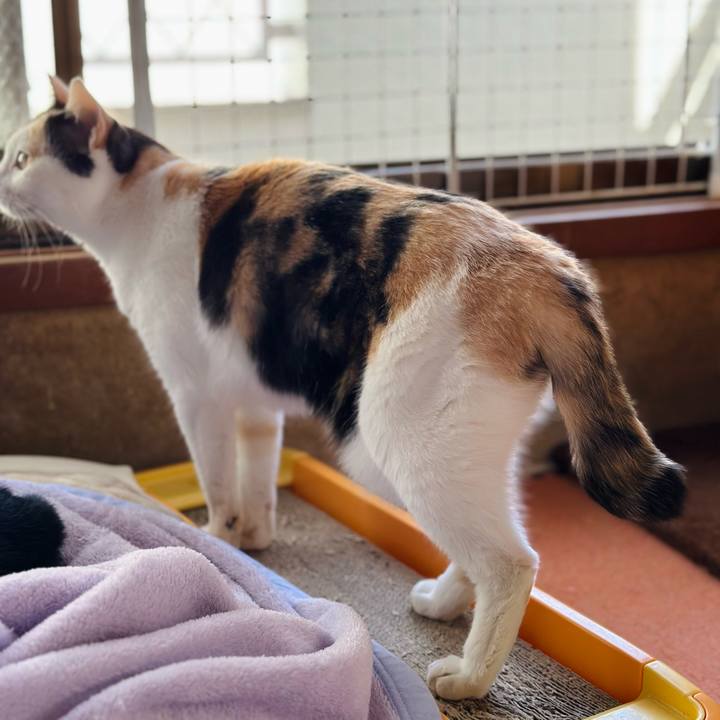 96913d74 214e 44dc b3fd 257acaa5d4f6 1701048344433